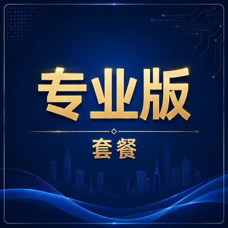 专业版